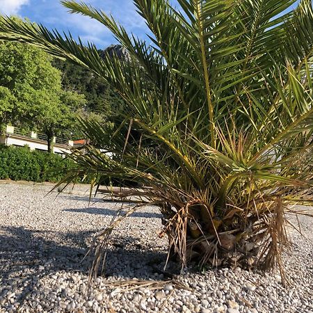 Villa Sabine Apartment Losinj Medveja Buitenkant foto